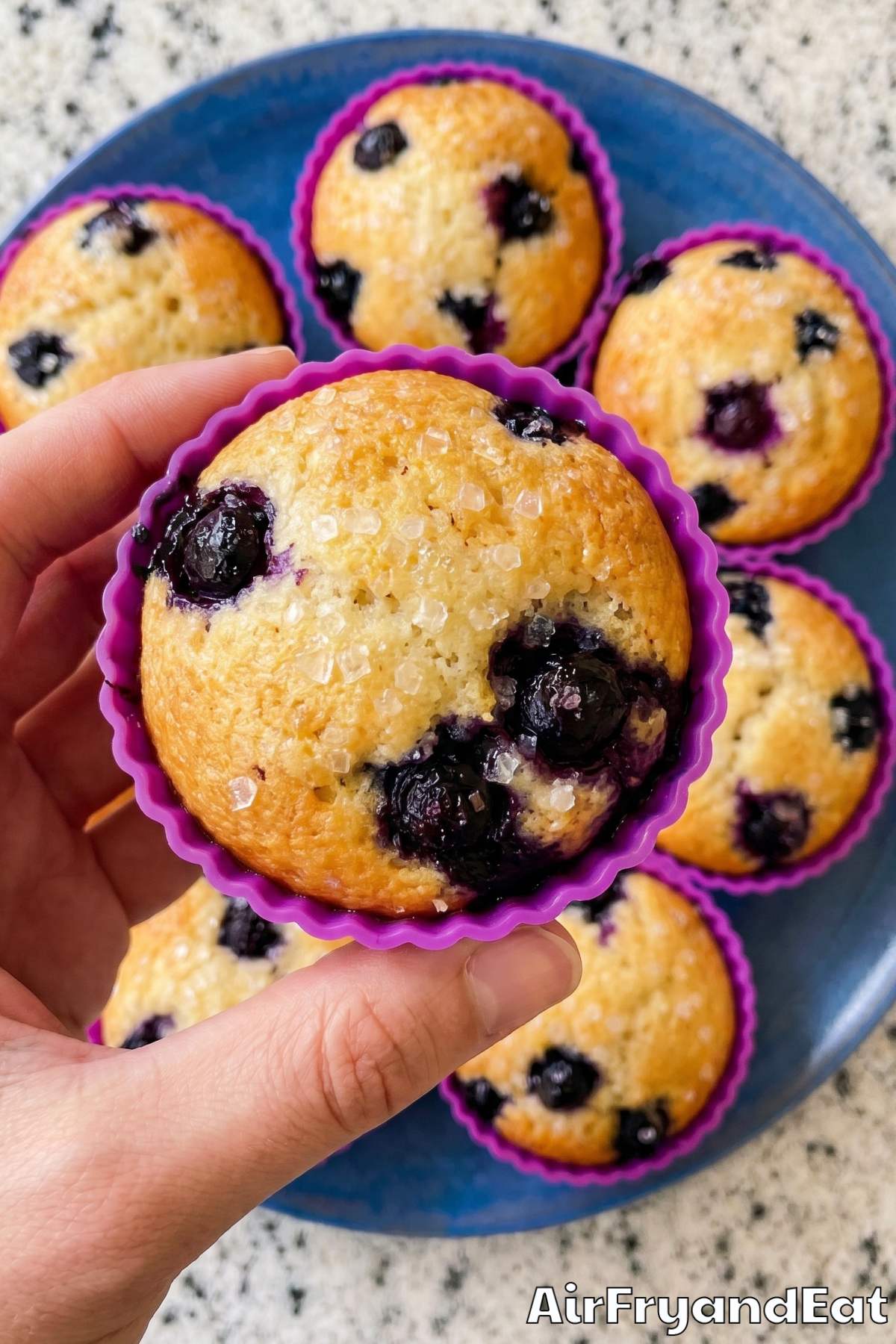 Homemade air fryer blueberry muffins