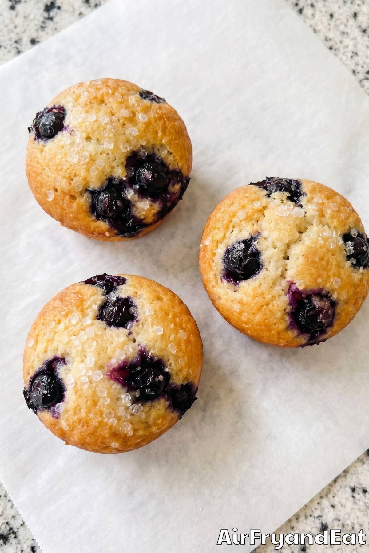 Warm air fryer blueberry muffins on a plate