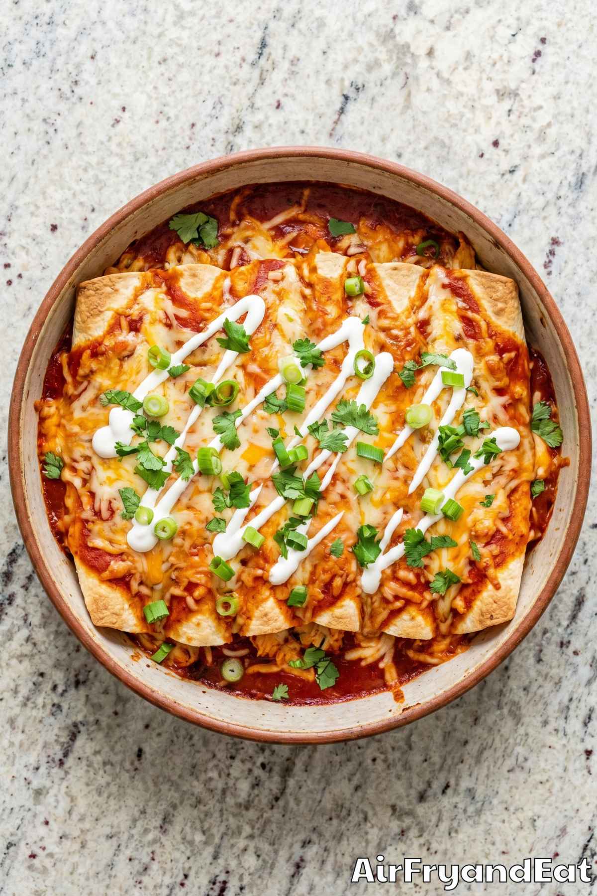 Easy air fryer chicken enchiladas