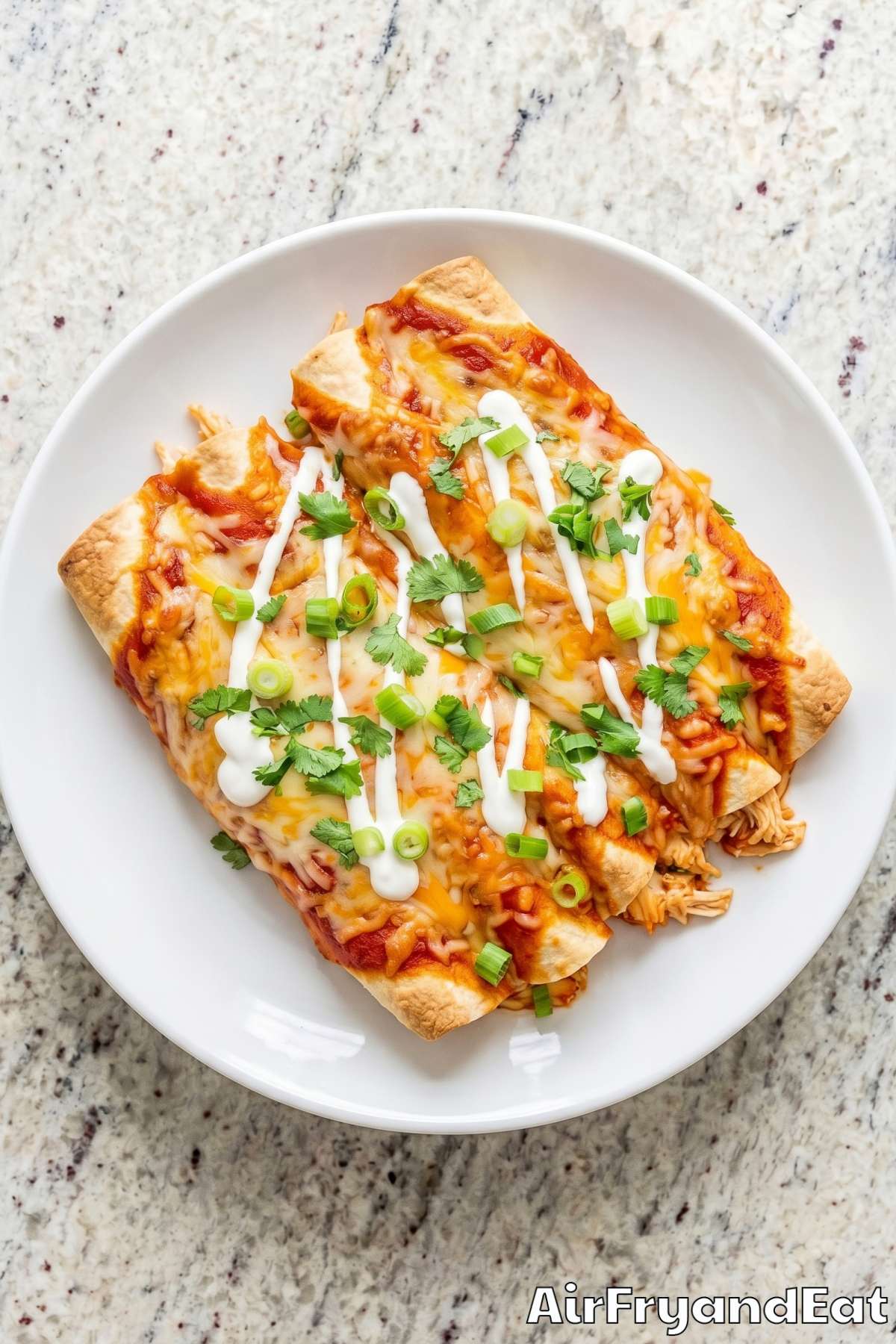 Tender air fryer chicken enchiladas