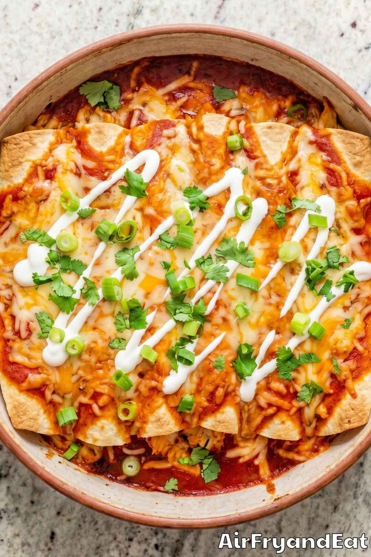 Cheesy air fryer chicken enchiladas