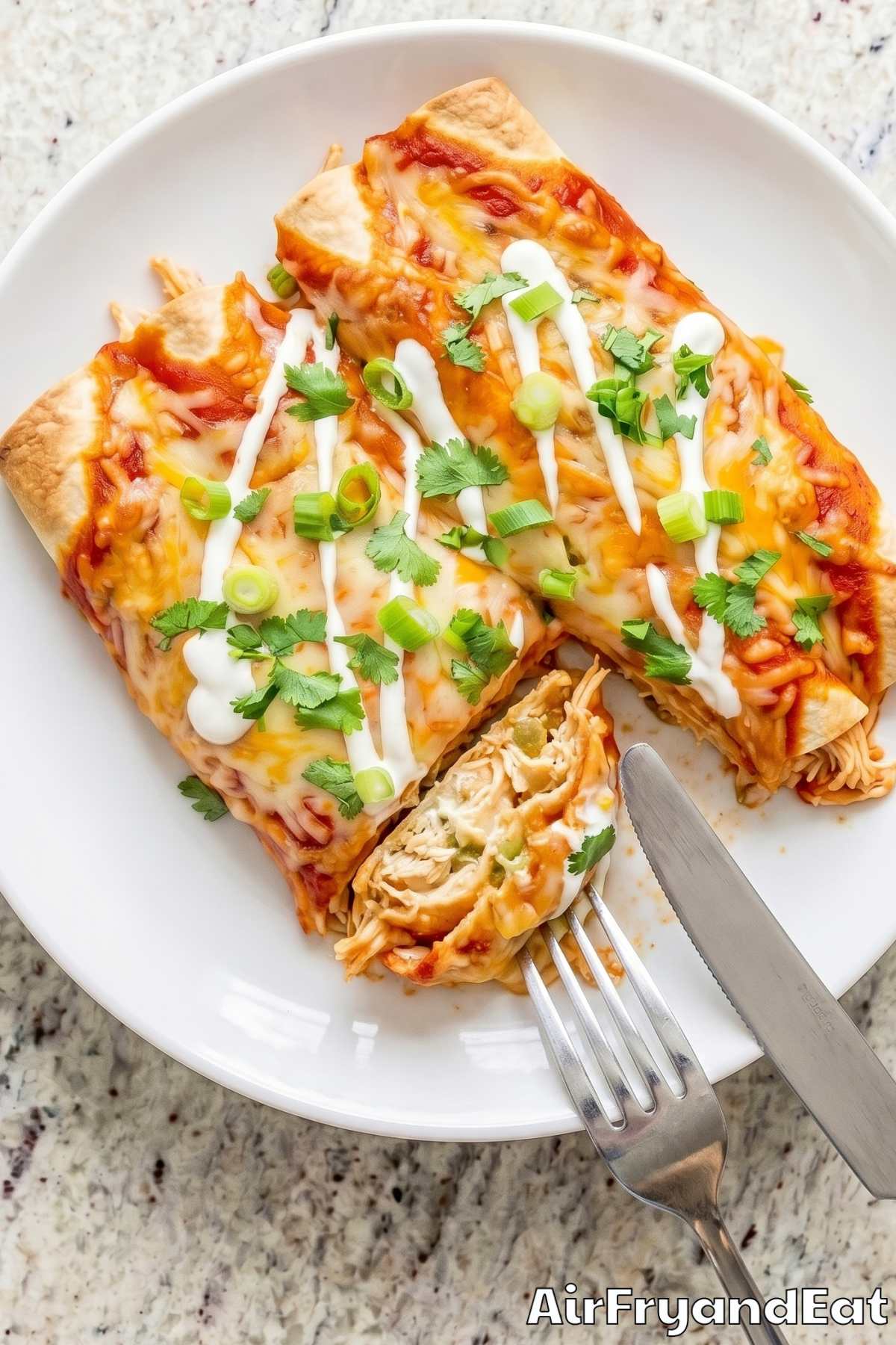 Savory air fryer chicken enchiladas