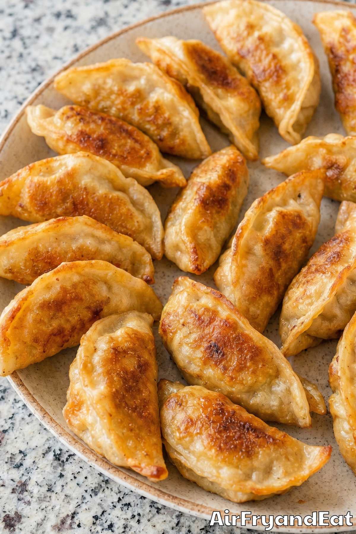 Homemade air fryer crispy pot stickers