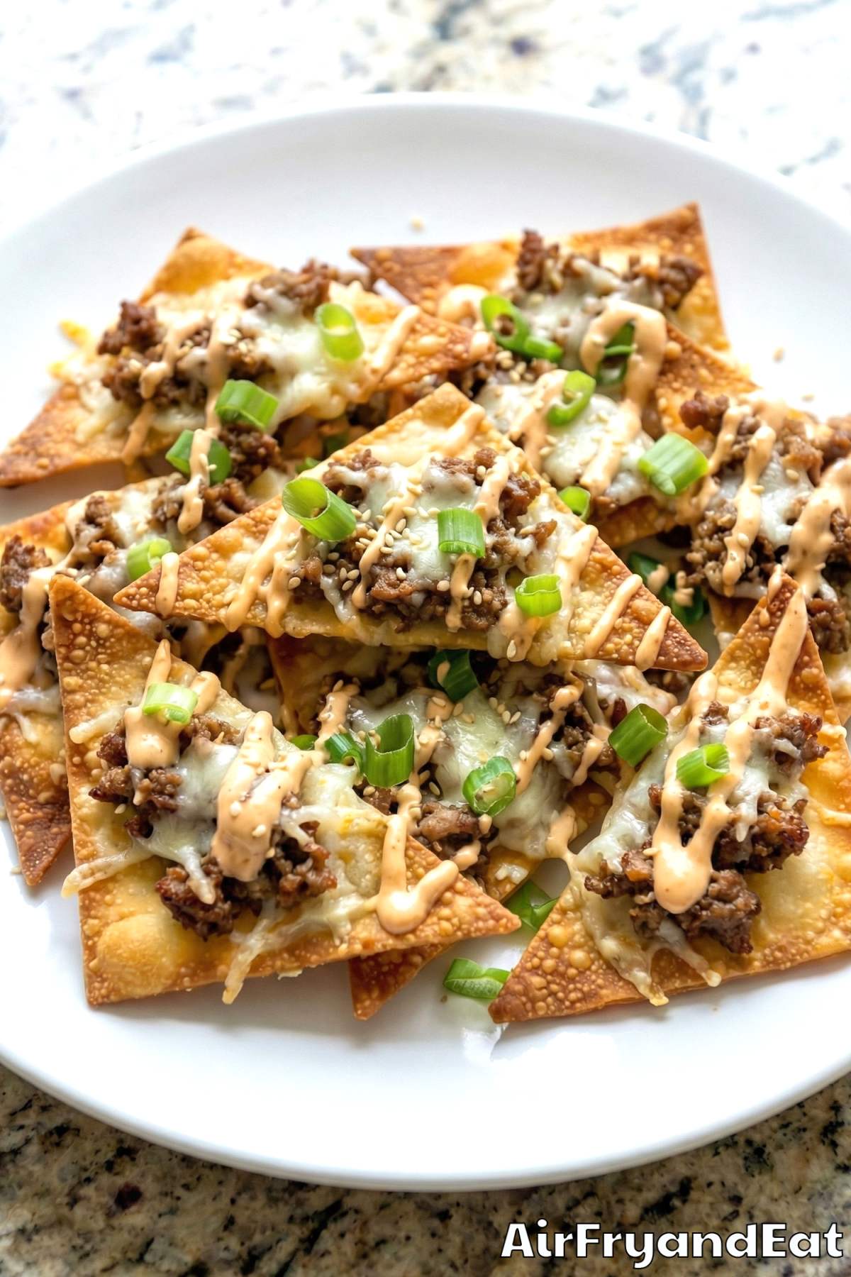 Homemade air fryer crispy wonton nachos