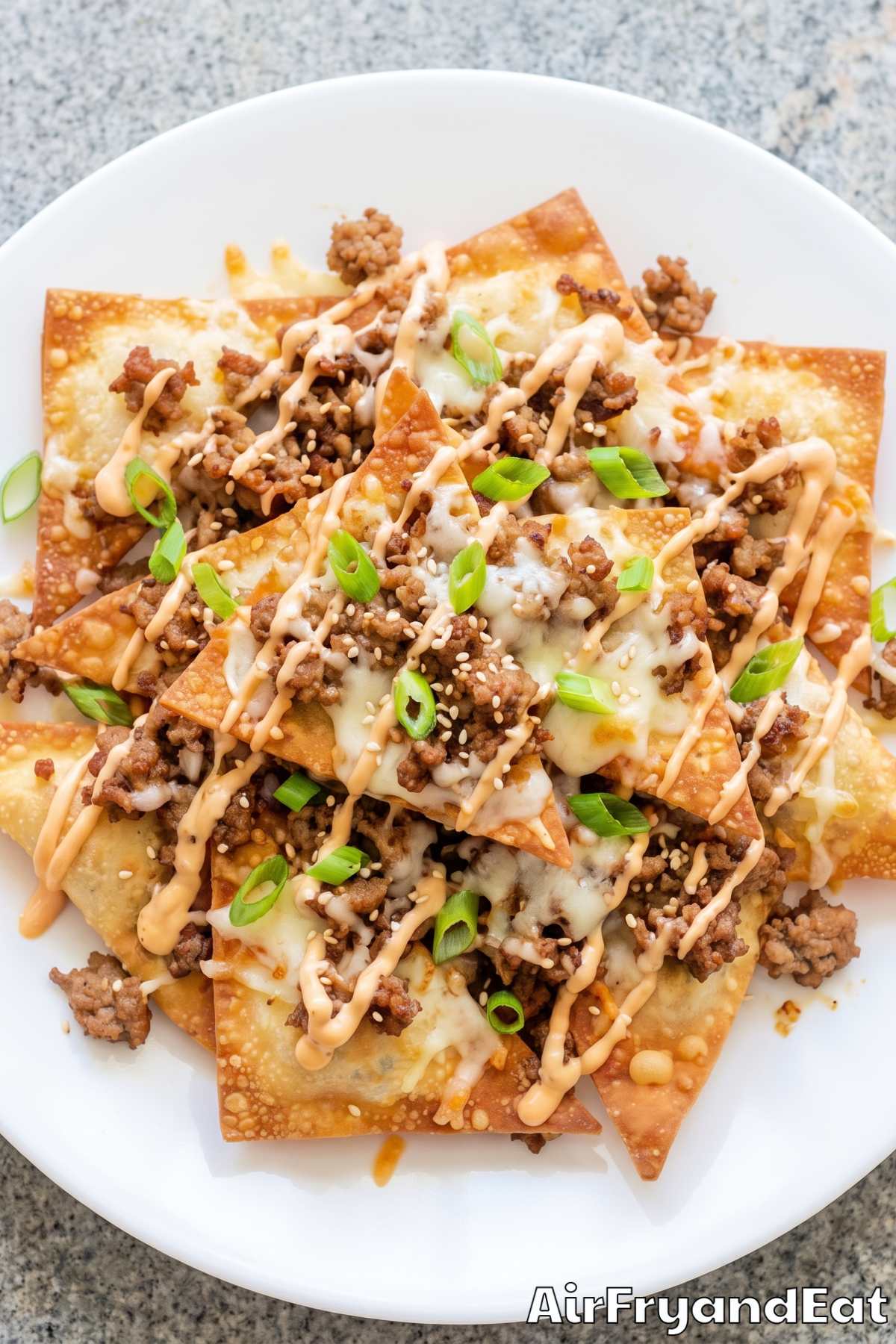 Easy air fryer wonton nachos