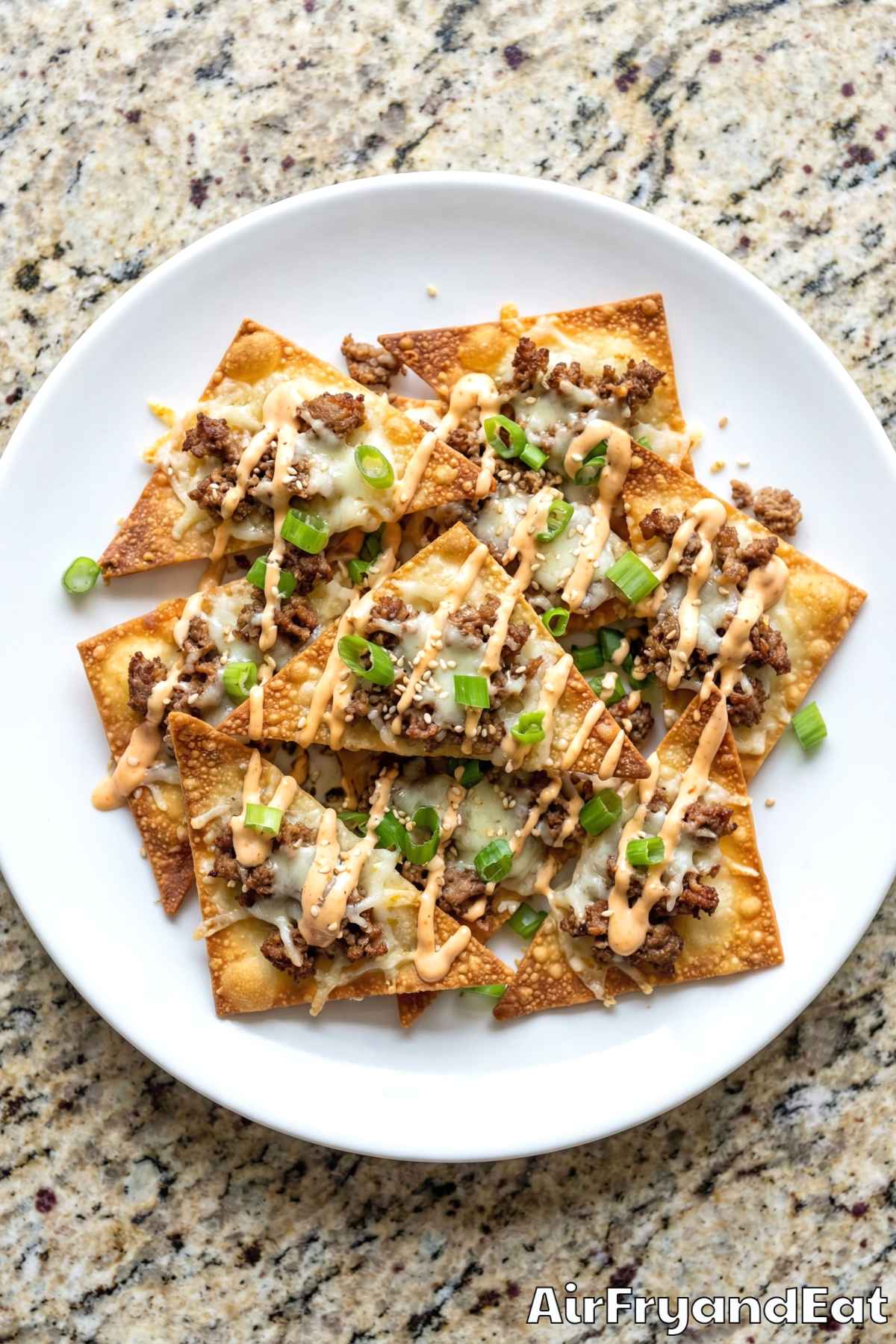 Loaded air fryer wonton nachos served fresh