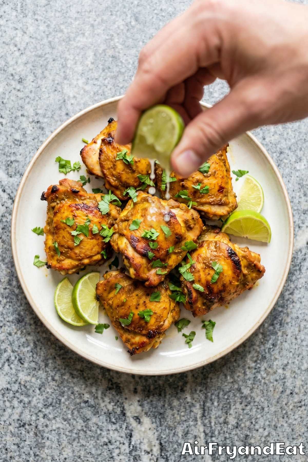 Aromatic air fryer curry chicken served warm
