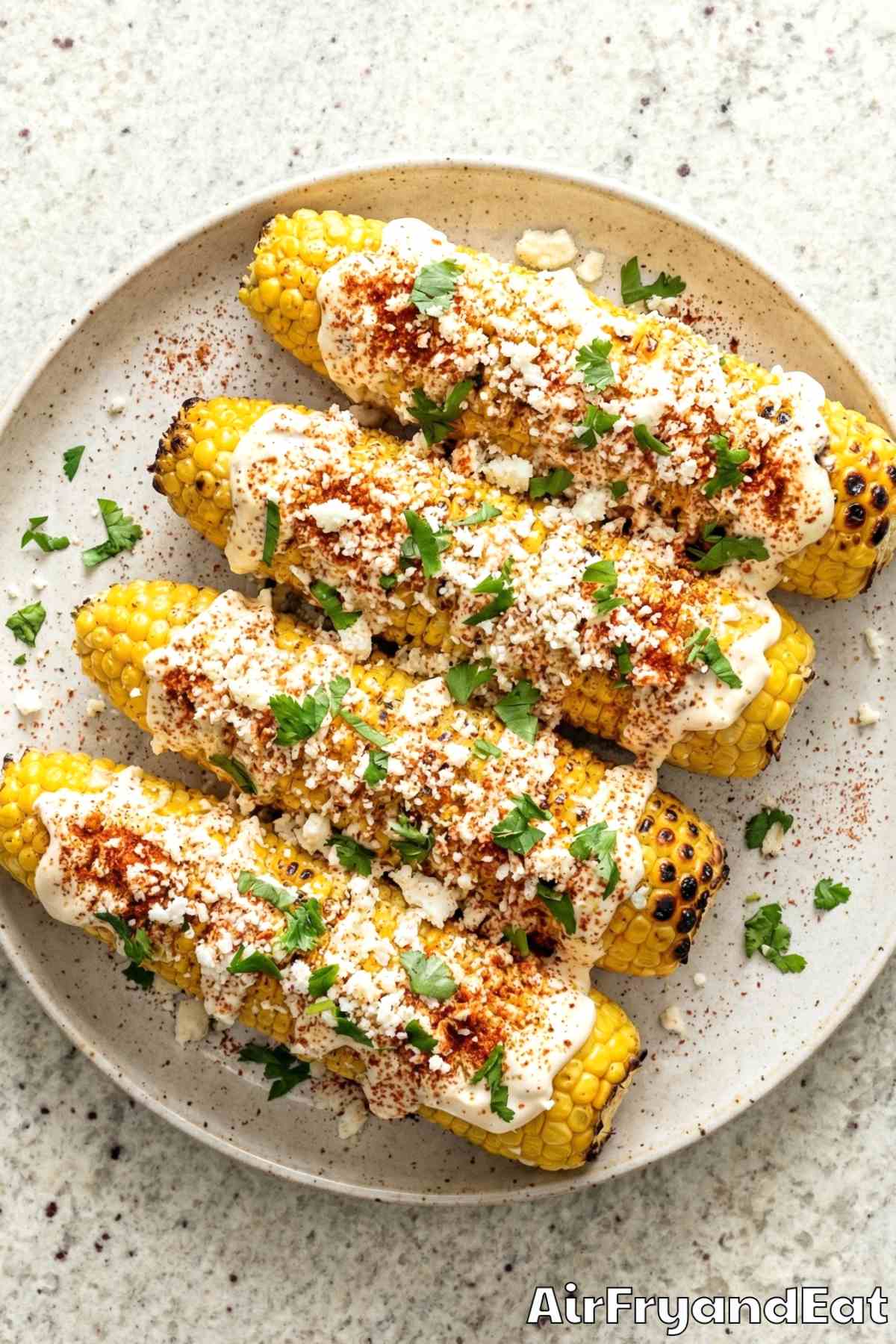 Savory air fryer elote street corn