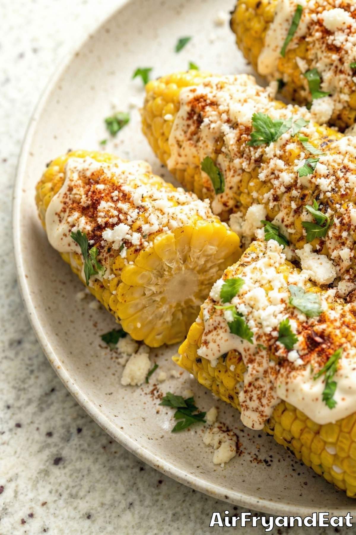 Easy air fryer elote street corn recipe