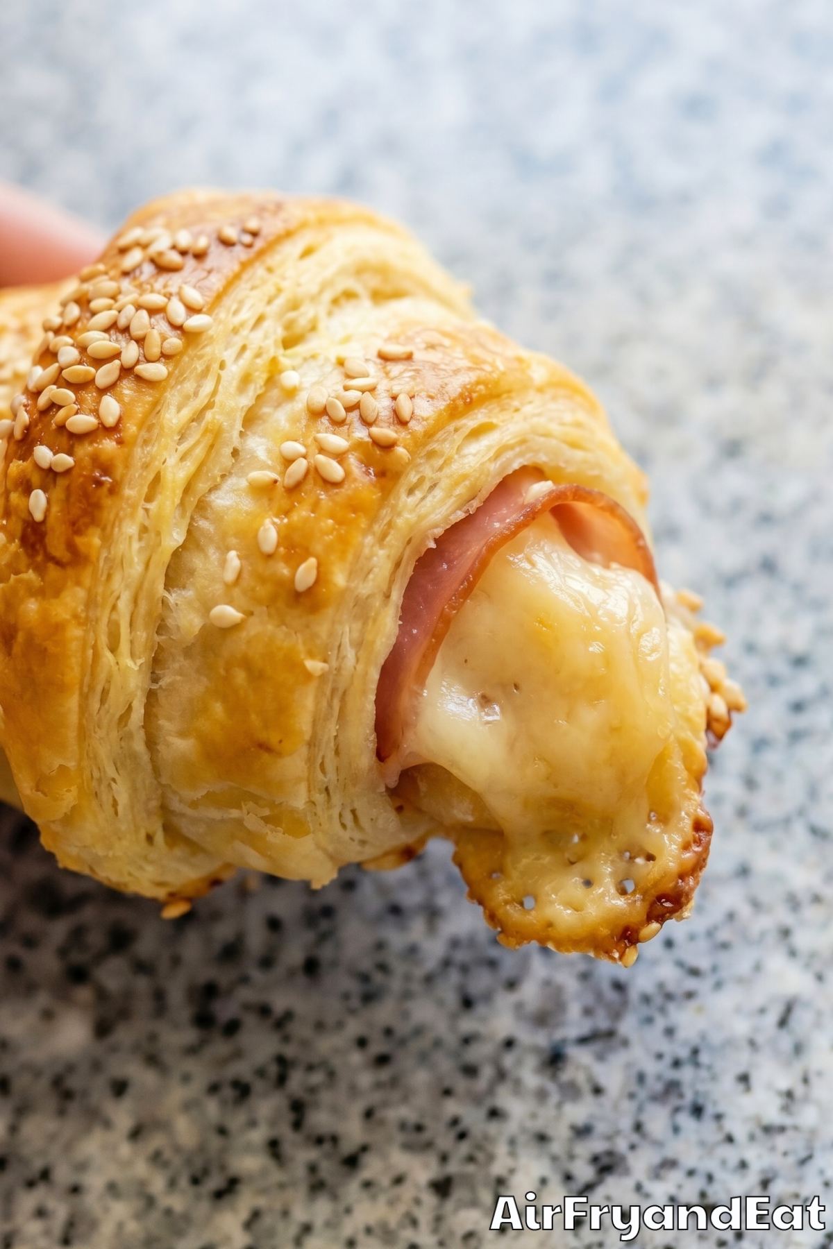 Toasty air fryer ham & cheese croissants