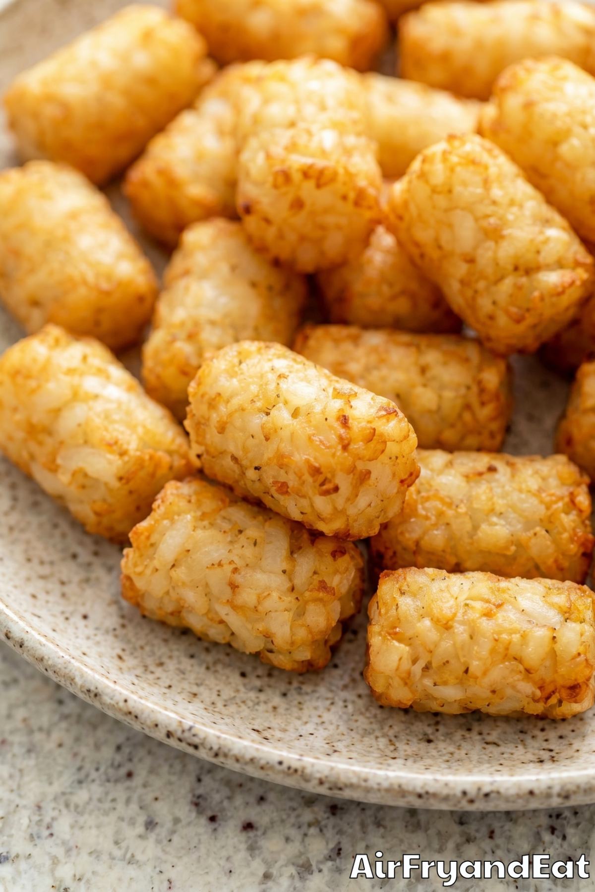 Savory air fryer homemade tater tots