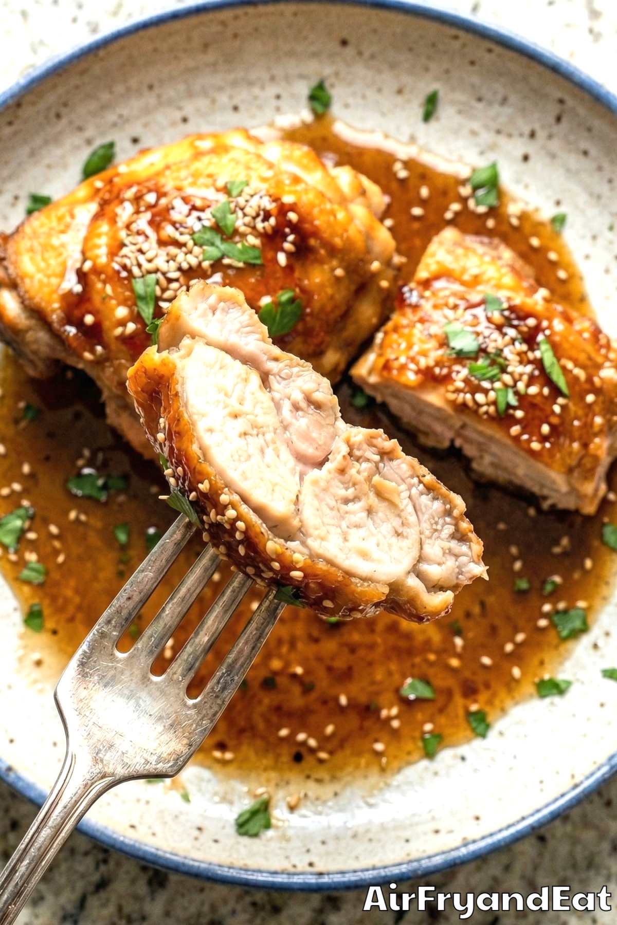 Tender air fryer honey garlic chicken thighs