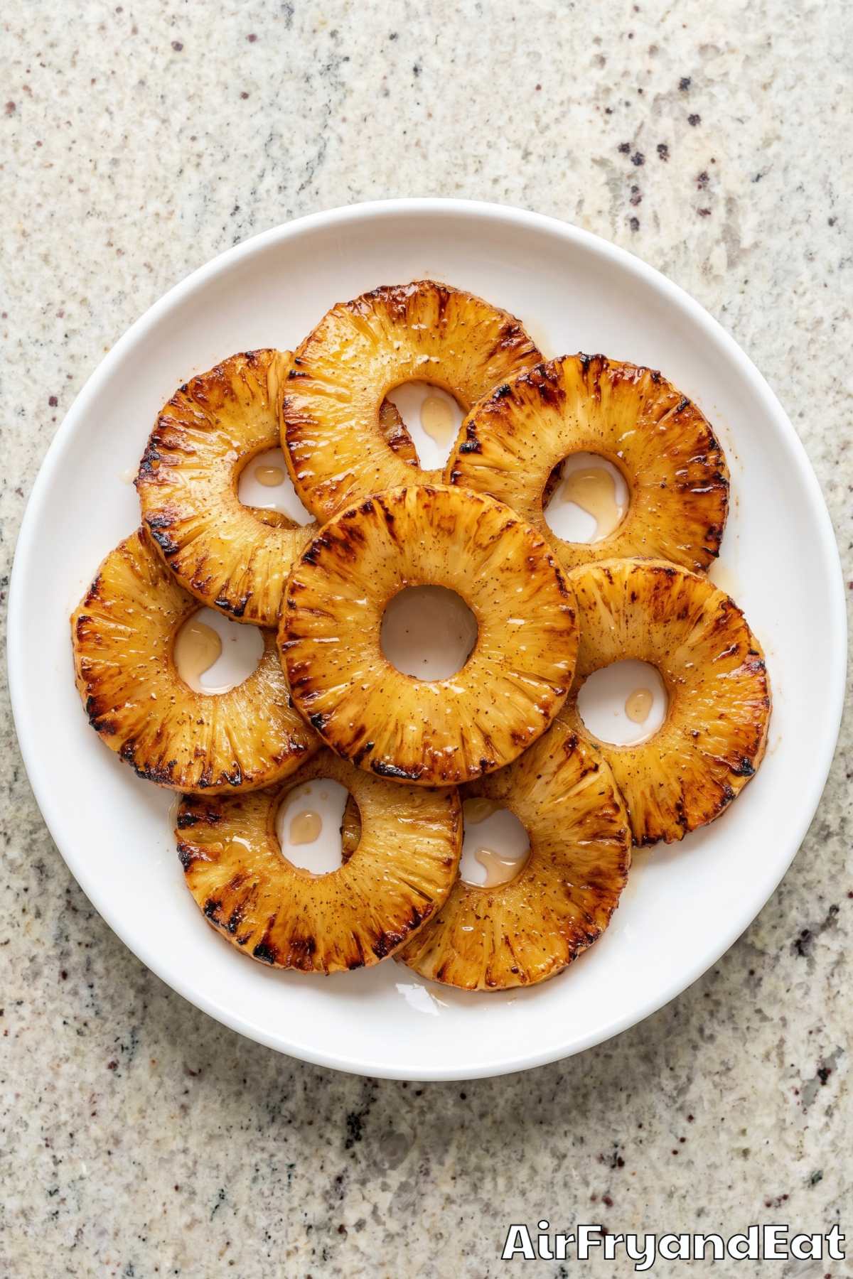 Warm air fryer pineapple rings close-up