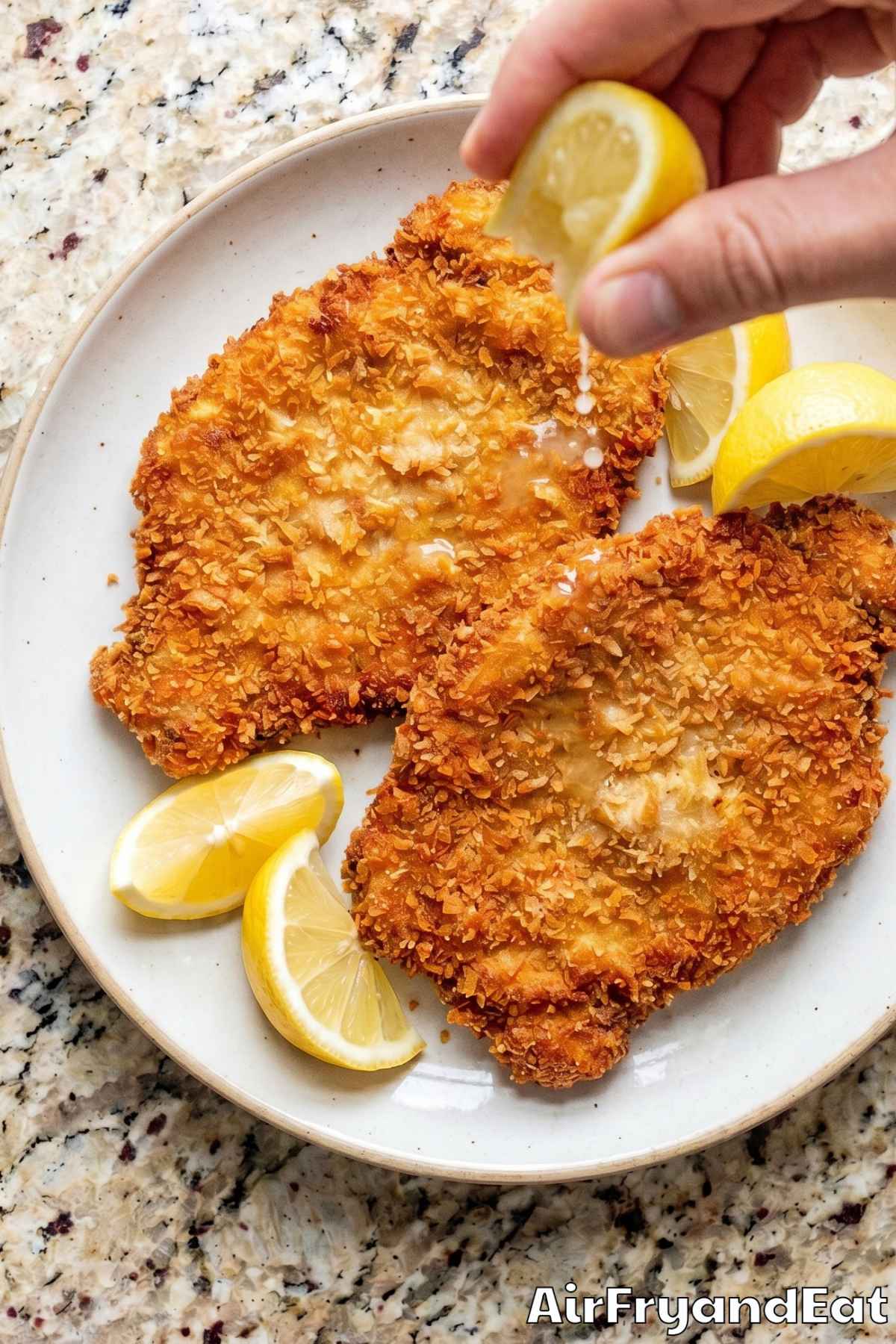 Savory air fryer pork schnitzel on platter