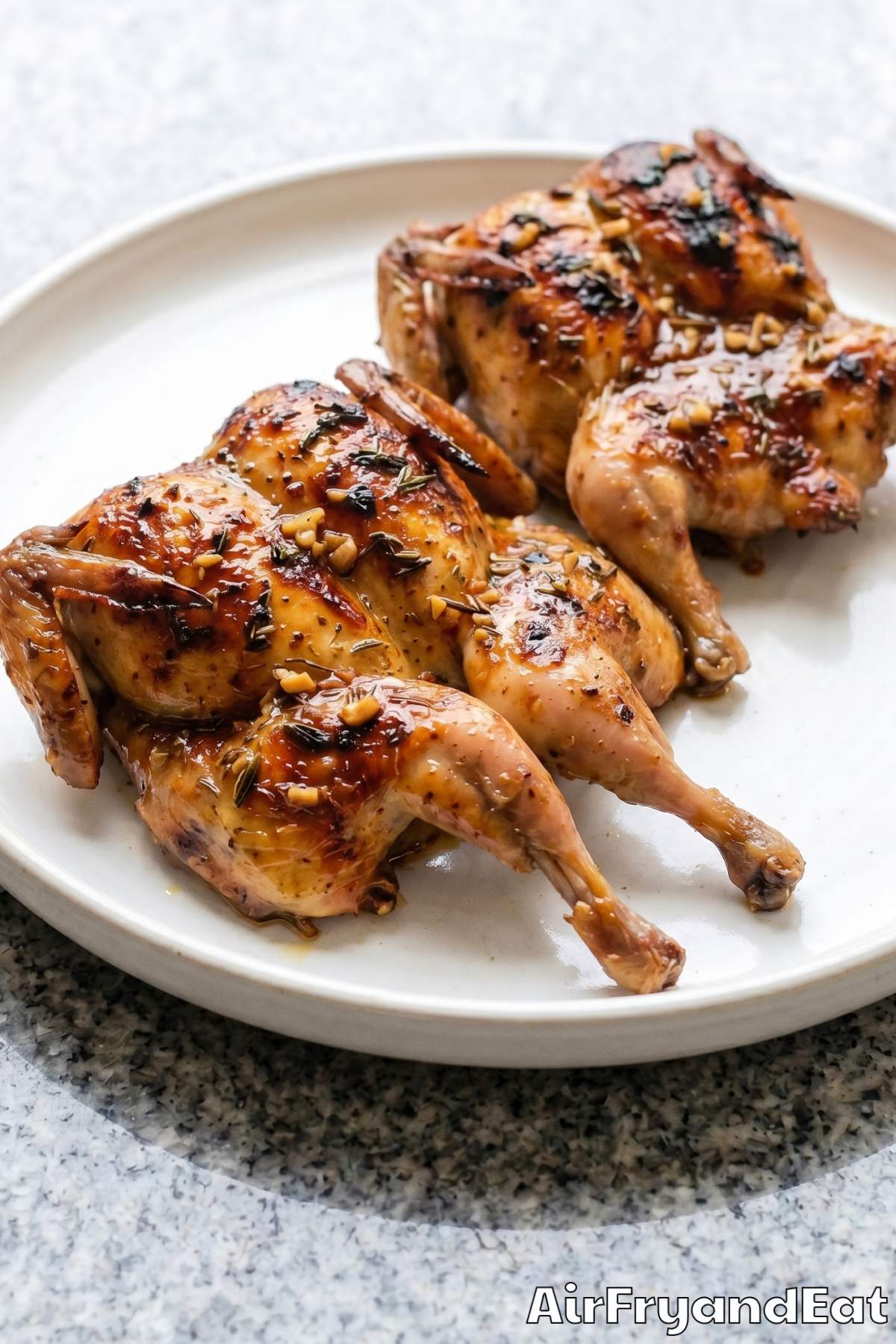 seasoned air fryer quail close up