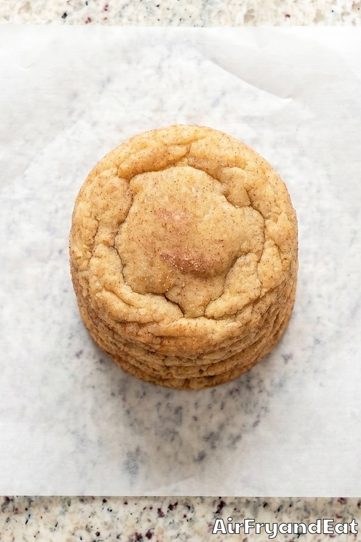 Homemade air fryer snickerdoodle cookies