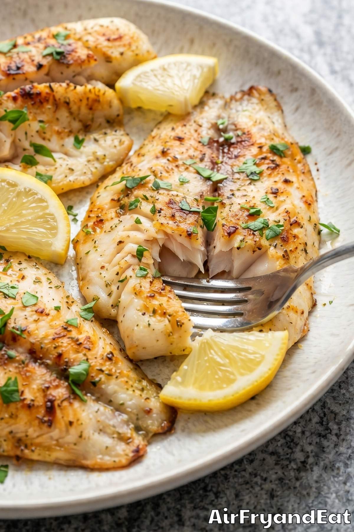 flaky air fryer swai fish close up
