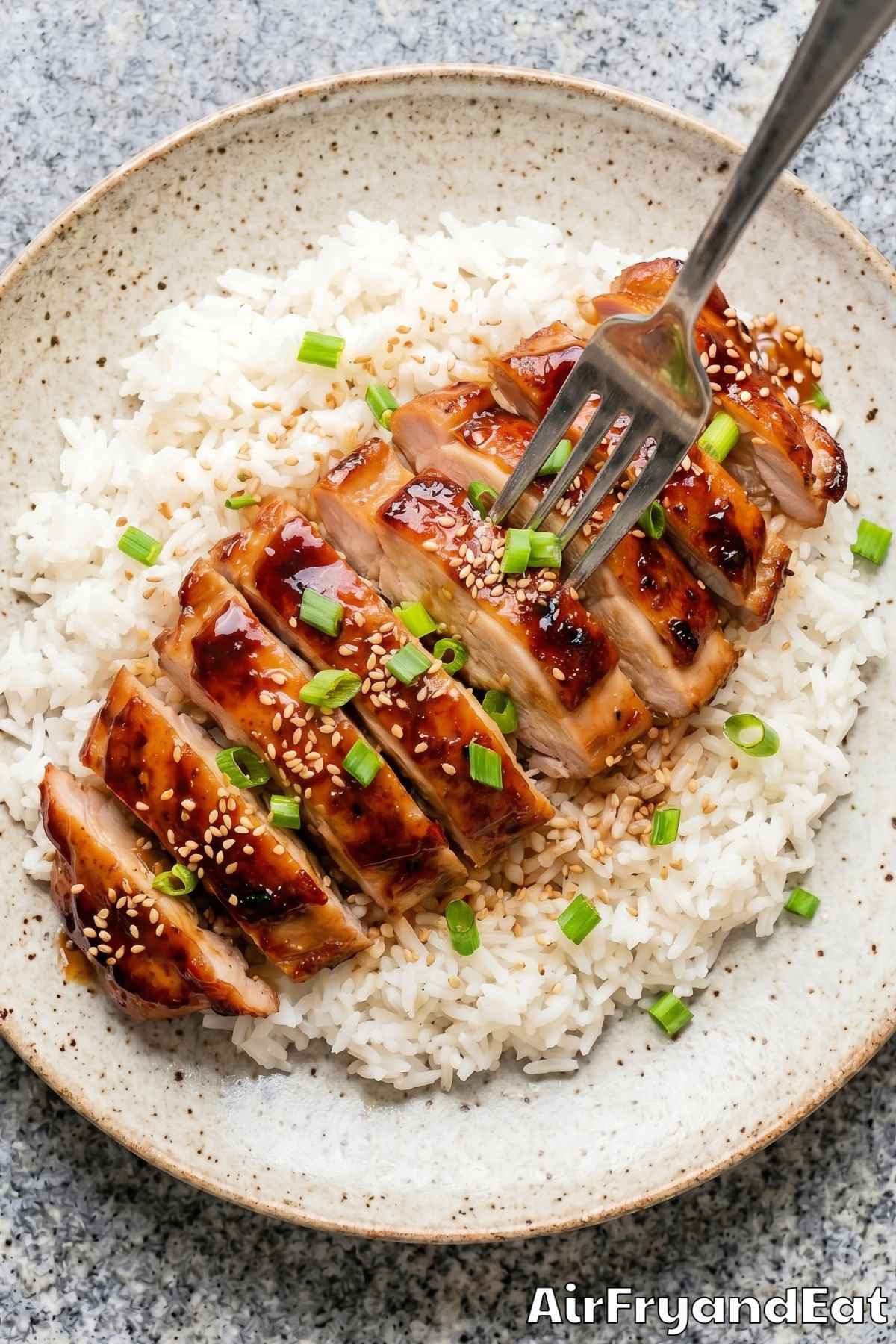 Tender air fryer teriyaki chicken served