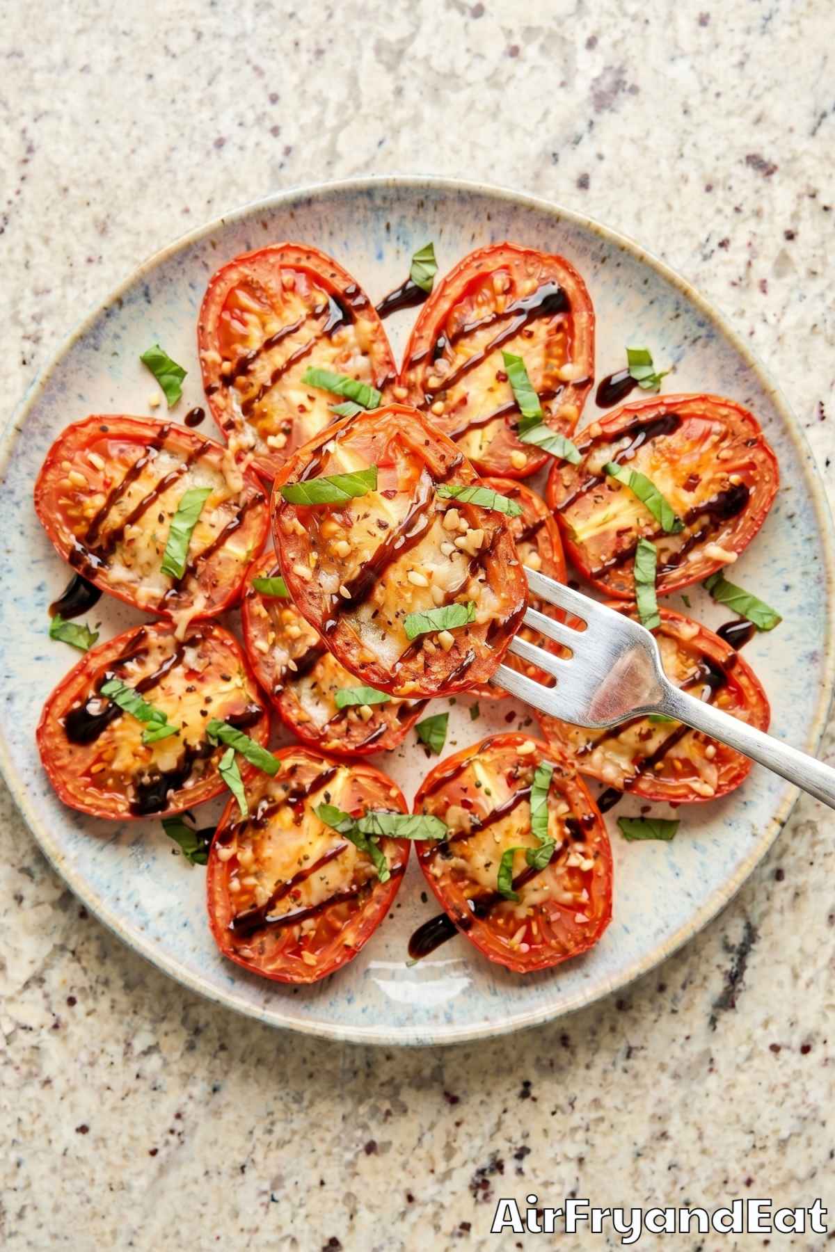 Warm air fryer tomatoes freshly made