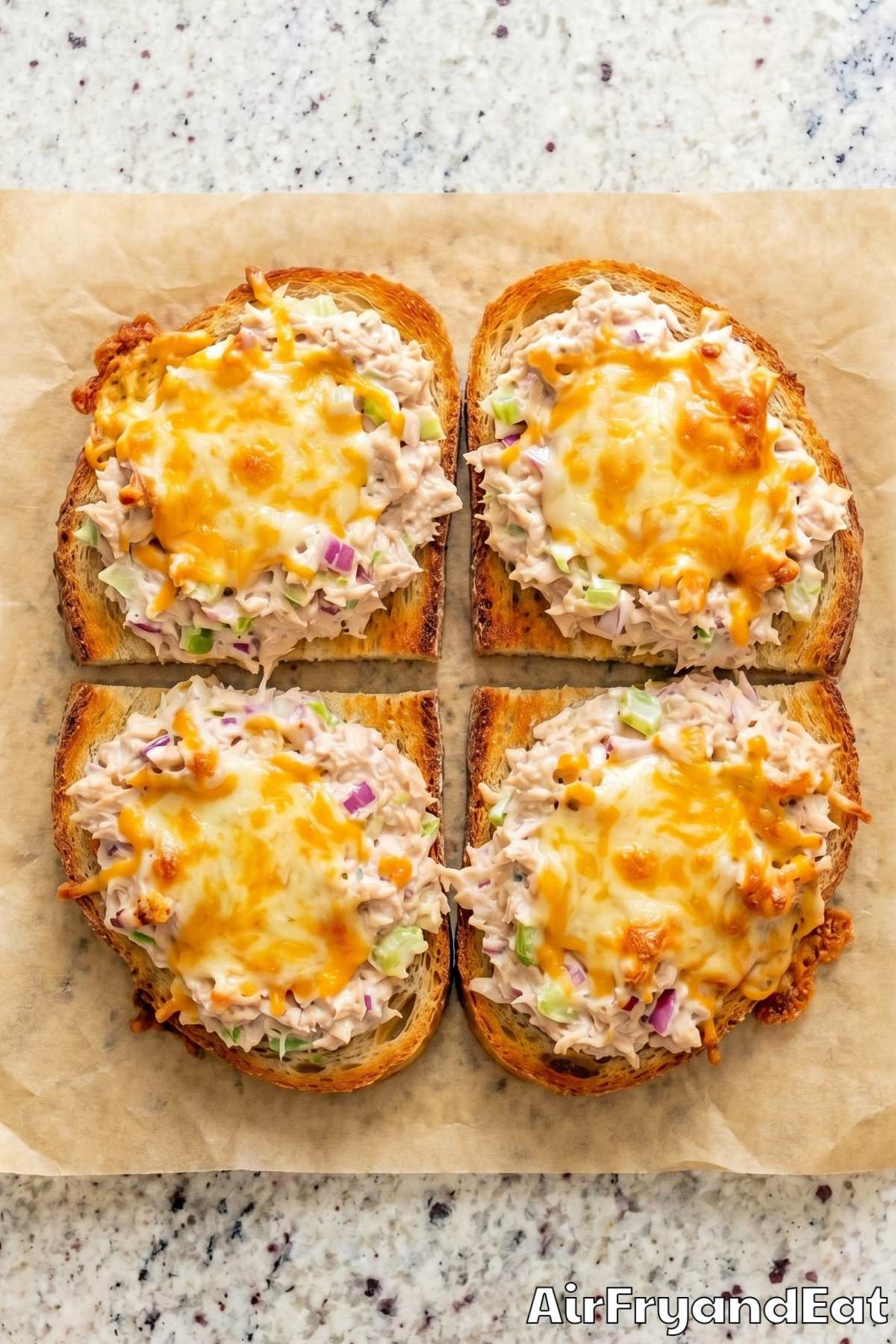Golden air fryer tuna melts close-up
