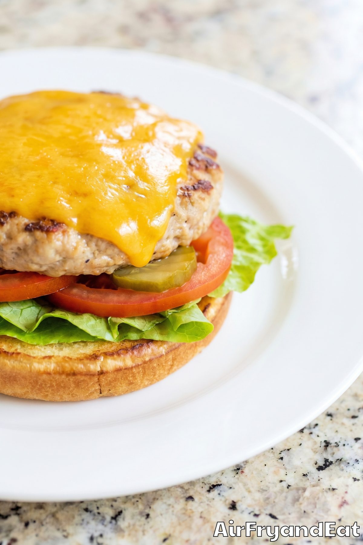 Easy air fryer turkey burgers served fresh