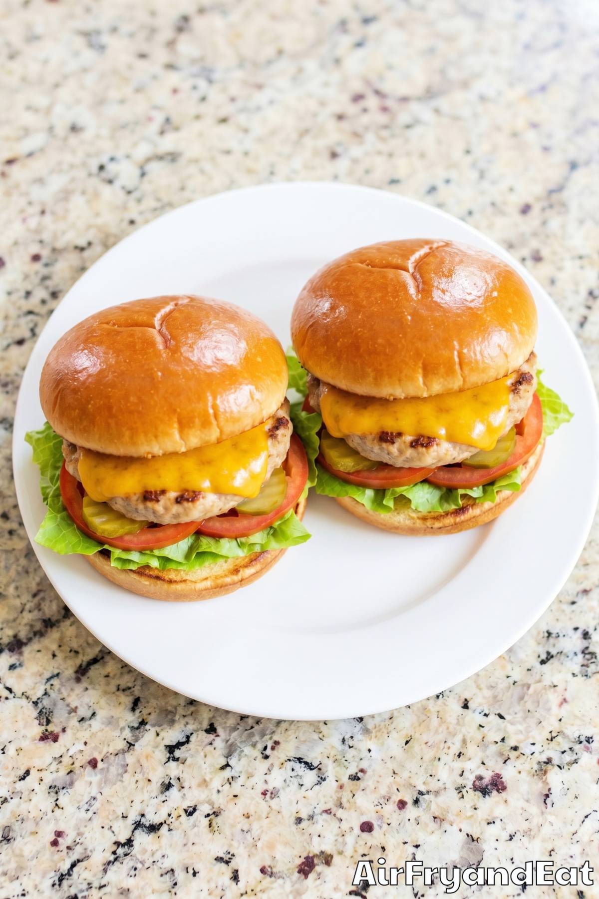Tender air fryer turkey burgers up close