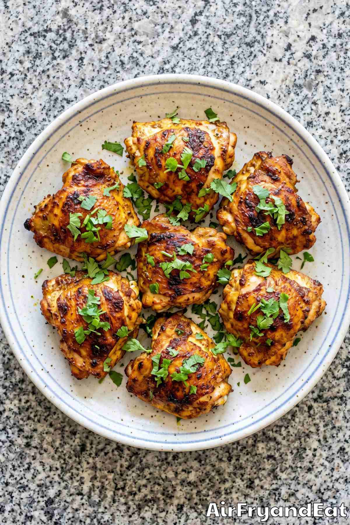 Savory air fryer yogurt chicken recipe