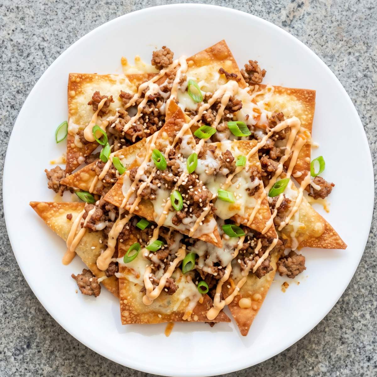 Air Fryer Crispy Wonton Nachos